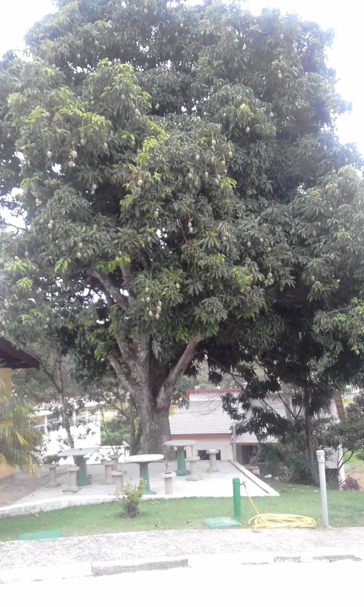 Hotel Pousada Gurupiá Serra Negra  Bagian luar foto